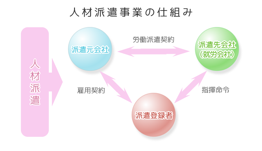 temp-staff01